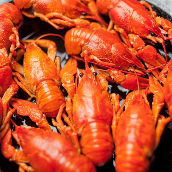 Close-up of vibrant red cooked crawfish, ready to be enjoyed at The Crab Station.
